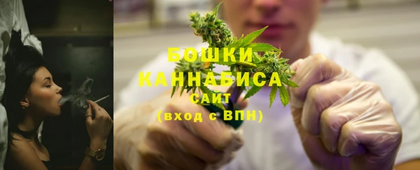 индика Баксан