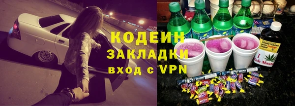 индика Баксан
