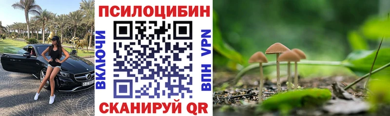 магазин    Белово  Псилоцибиновые грибы ЛСД 
